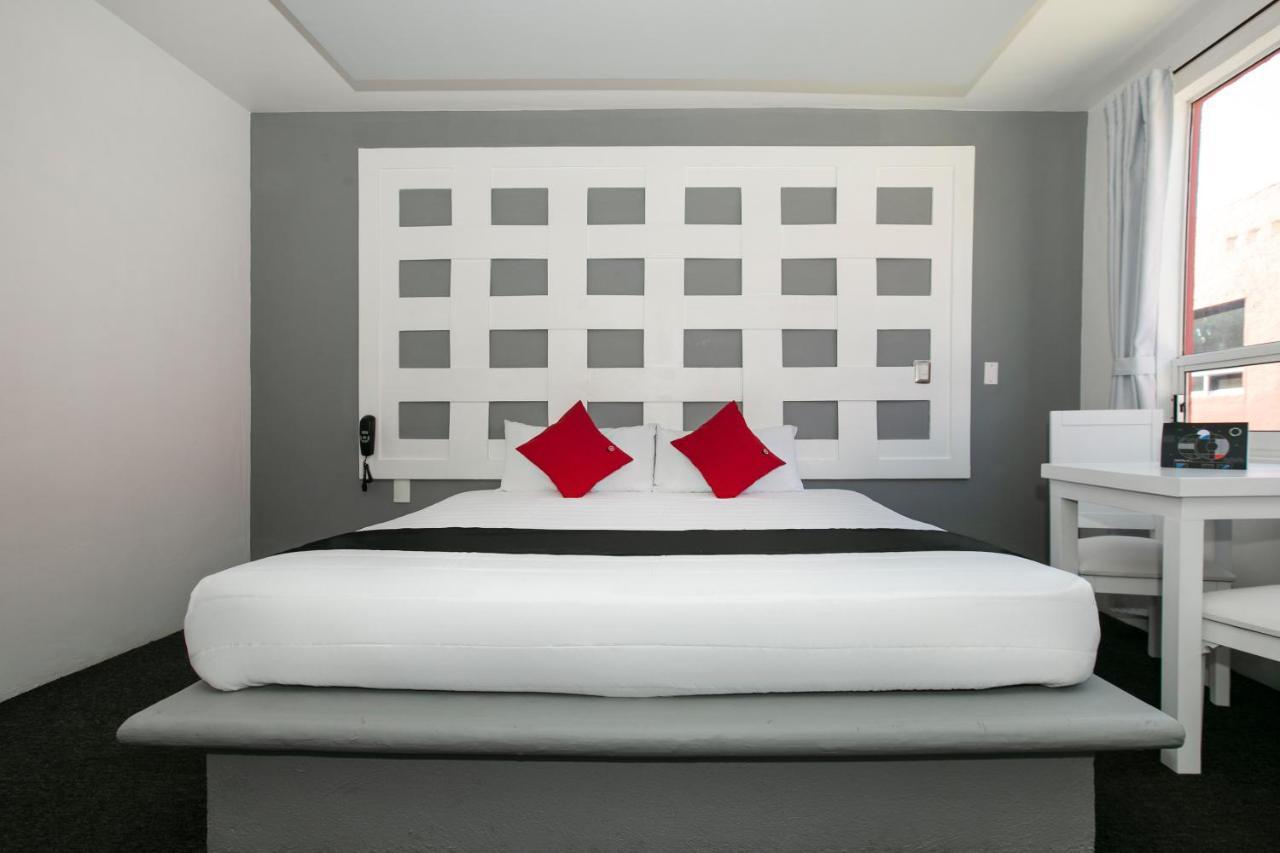 Hotel Euro Confort,Pachuca Exteriör bild