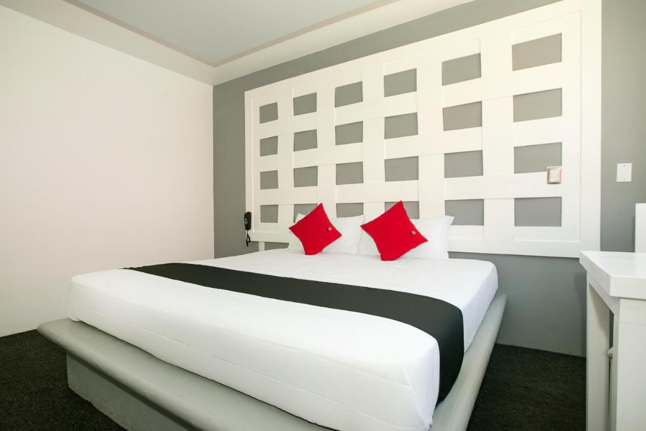 Hotel Euro Confort,Pachuca Exteriör bild