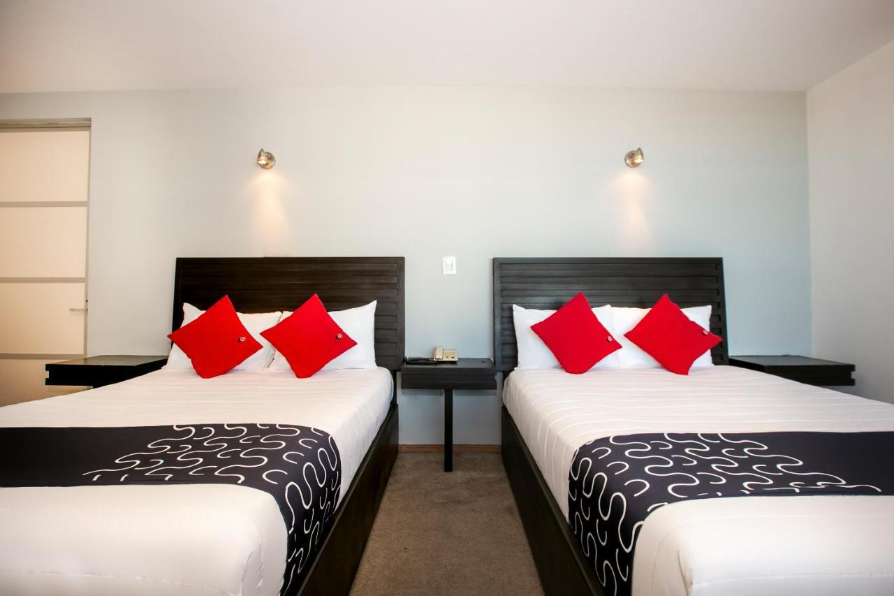Hotel Euro Confort,Pachuca Exteriör bild